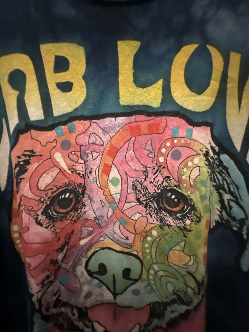 The Mountain Lab Love T-Shirt Size XL Blue Tie-Dye Dean Russo Dog Art